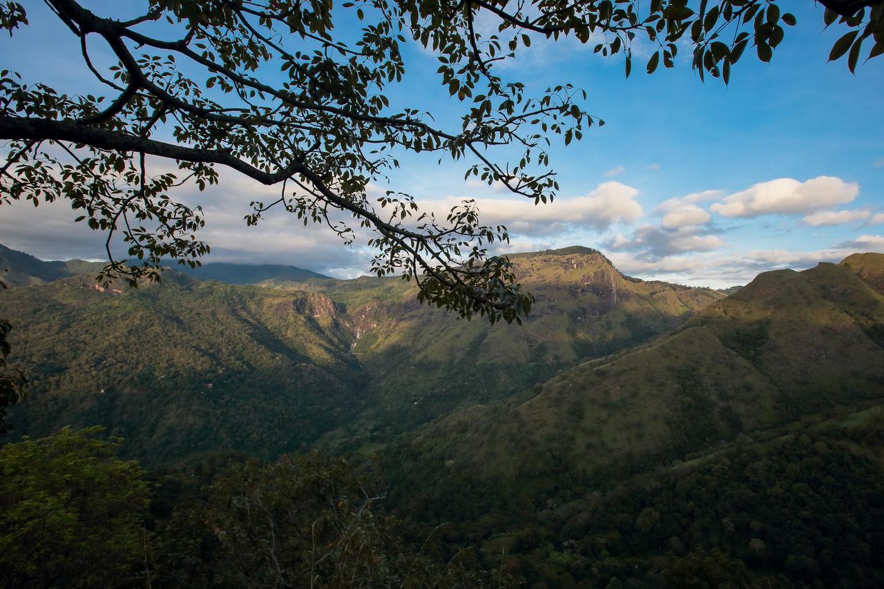 Villa Verde Ella Exteriér fotografie